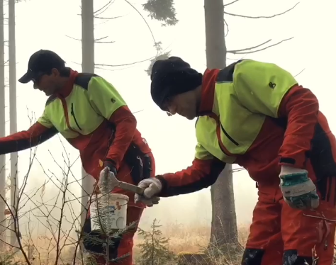 Social Forestry Austria